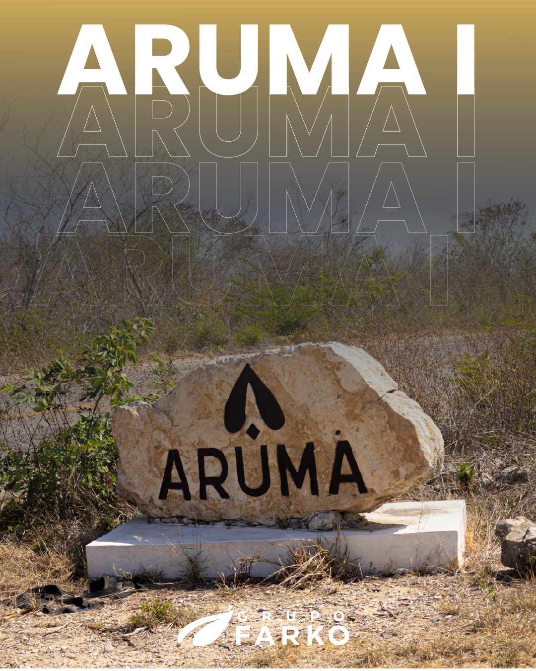 Proyecto Aruma I